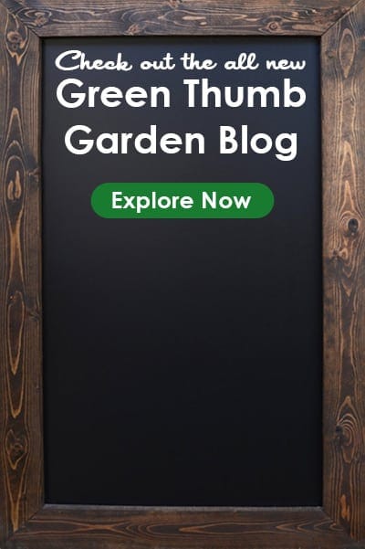 Green Thumb Nursery Southern California Garden Centers Green Thumb Nursery Southern California Garden Centers