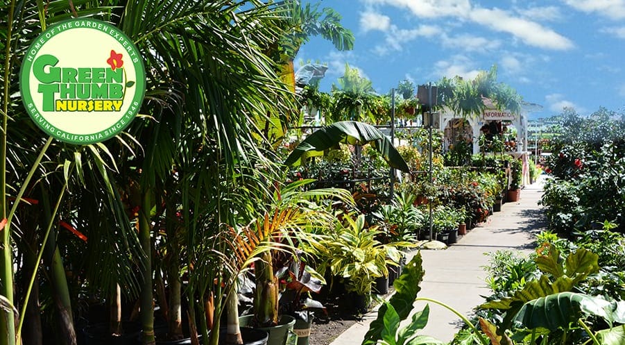 Green Thumb Nursery Southern California Garden Centers