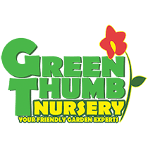 Green Thumb Nursery Canoga Park Green Thumb Nursery Canoga Park