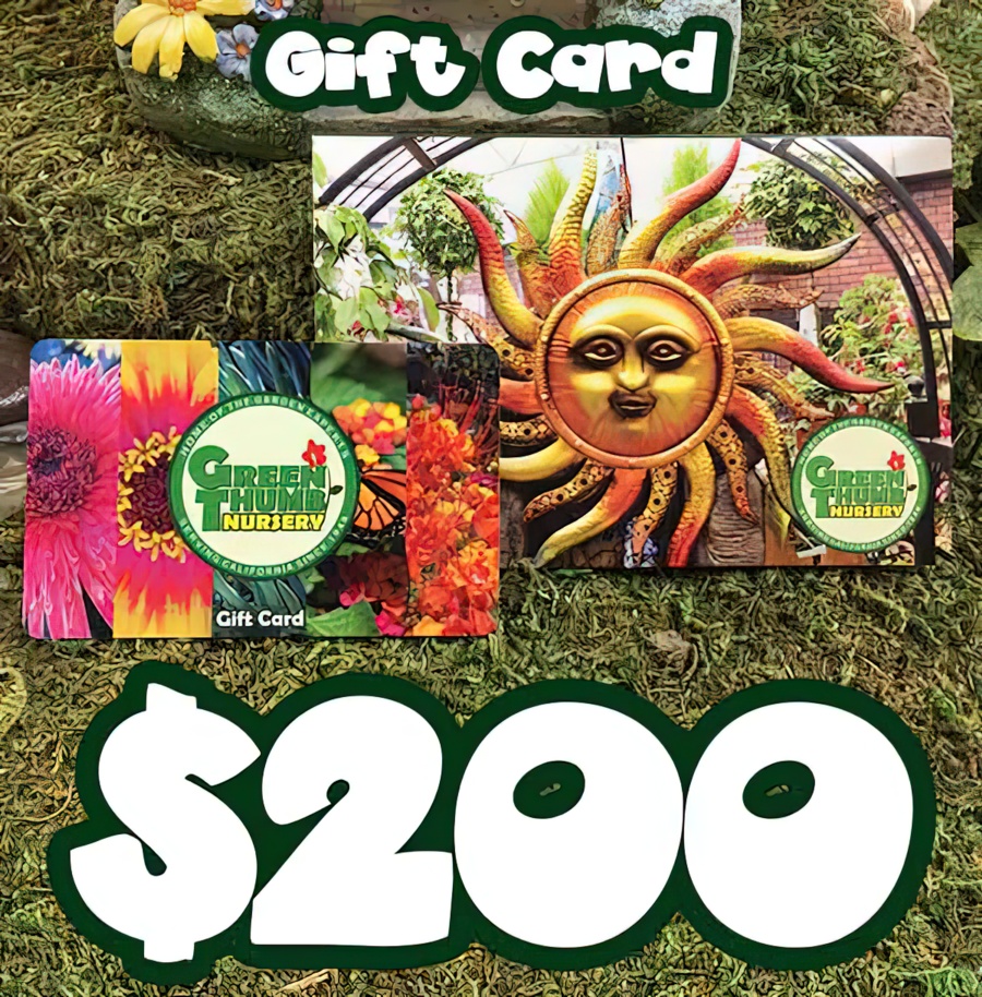 A $200 Gift Card To Green Thumb Nursery