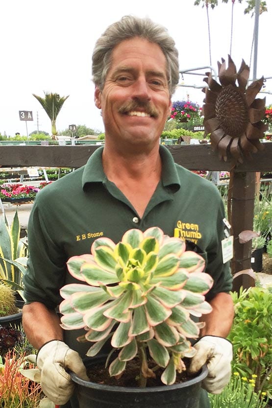 A man holding a succulent plant in a pot.