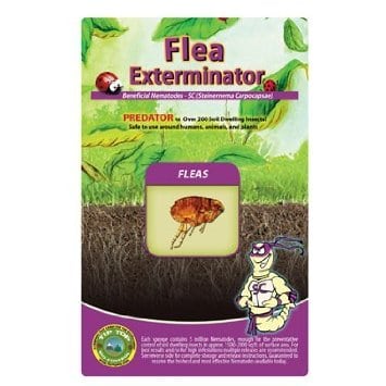 A package of Beneficial Nematodes - SC - Flea Exterminator with an image of a flea.