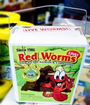 A box of Buy Live Red Worms Online (Red Wigglers) - Organic Gardening or Composting on a shelf.