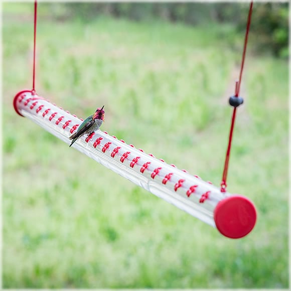 A hummingbird perched on a Long Version - 4 Foot Hummingbird Feeder - Limited Availability - Order Now.