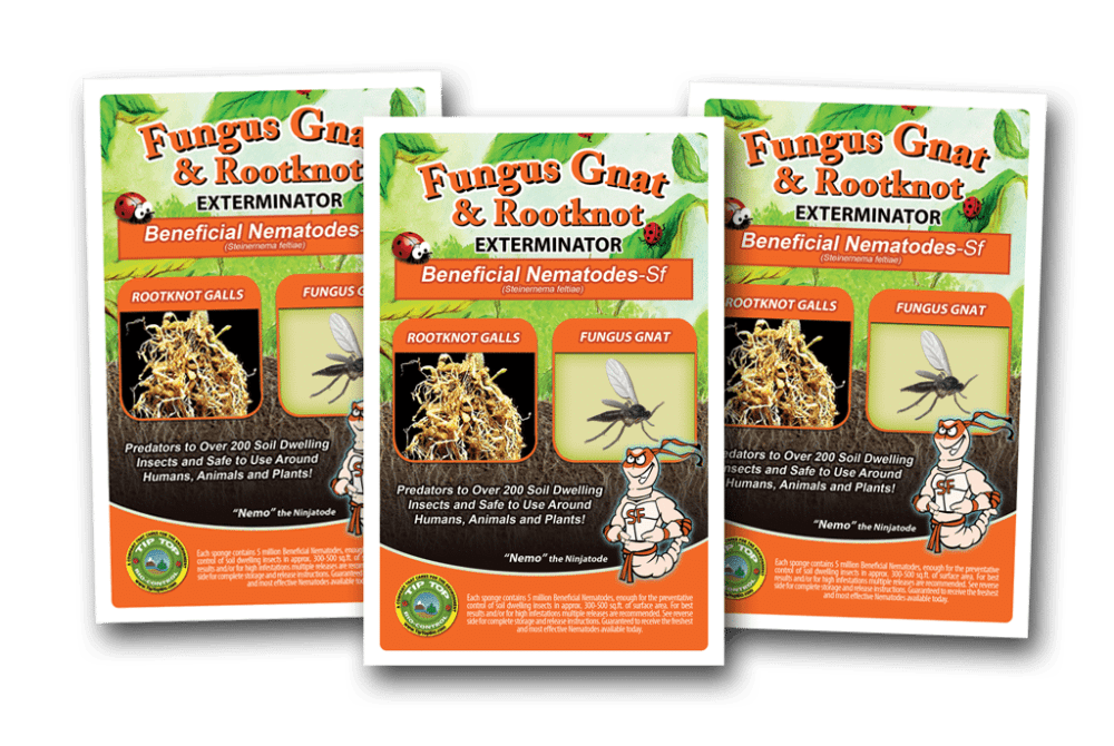 Three packets of Beneficial Nematodes - SF - Fungus Gnat Control.