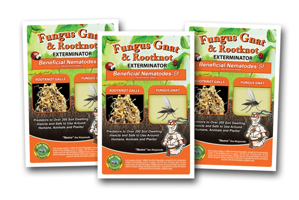 Three packets of Beneficial Nematodes - SF - Fungus Gnat Control.