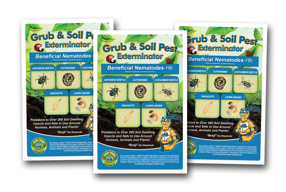 A set of Beneficial Nematodes - HB - (General Beneficial Nematodes) and pest control fly and pest control fly and pest control fly and pest control fly and pest control fly and.