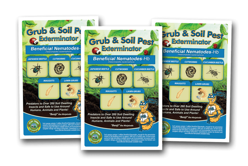 A set of Beneficial Nematodes - HB - (General Beneficial Nematodes) and pest control fly and pest control fly and pest control fly and pest control fly and pest control fly and.