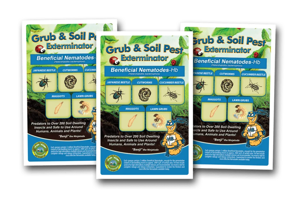 A set of Beneficial Nematodes - HB - (General Beneficial Nematodes) and pest control fly and pest control fly and pest control fly and pest control fly and pest control fly and.