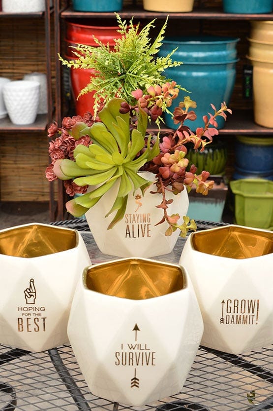 Four white ceramic planters with a quote on them.
