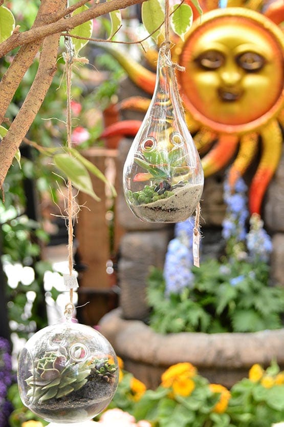 A sun hanging from a tree in a garden.