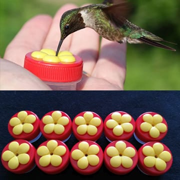 A picture of a Handheld Hummingbird Feeder (5-pack or 10-pack) with a flower on its head.