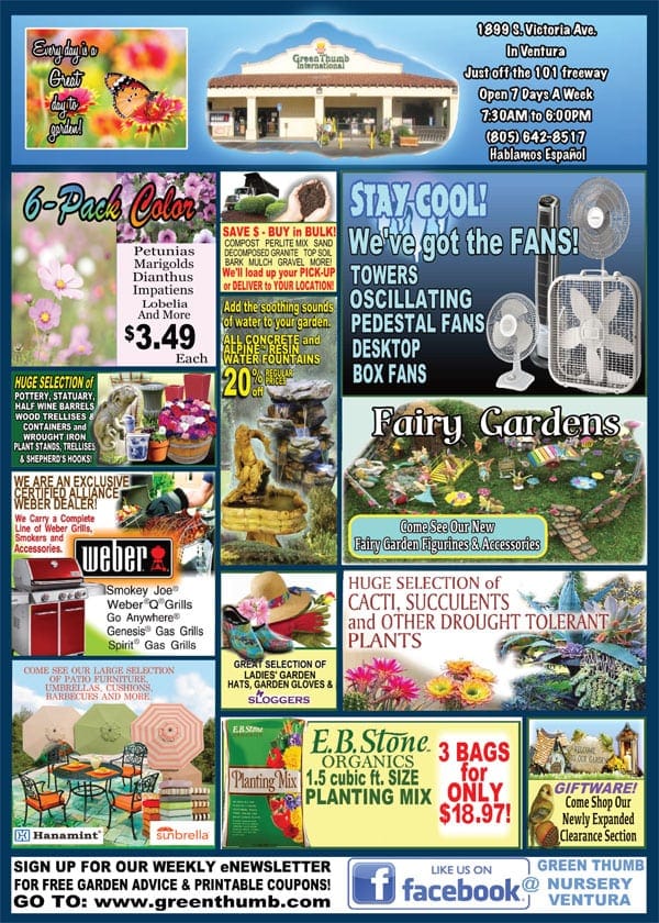71918 Ad for Ventura Green Thumb Nursery