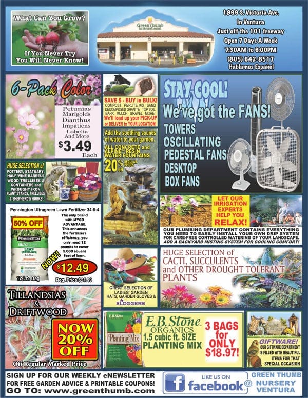 90618 Ad for Ventura Green Thumb Nursery