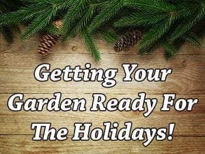 Preparing your garden for the holidays at a nearby SoCal garden center.