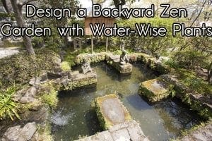 Design a water wise backyard zen garden using plants from a nearby SoCal garden center.