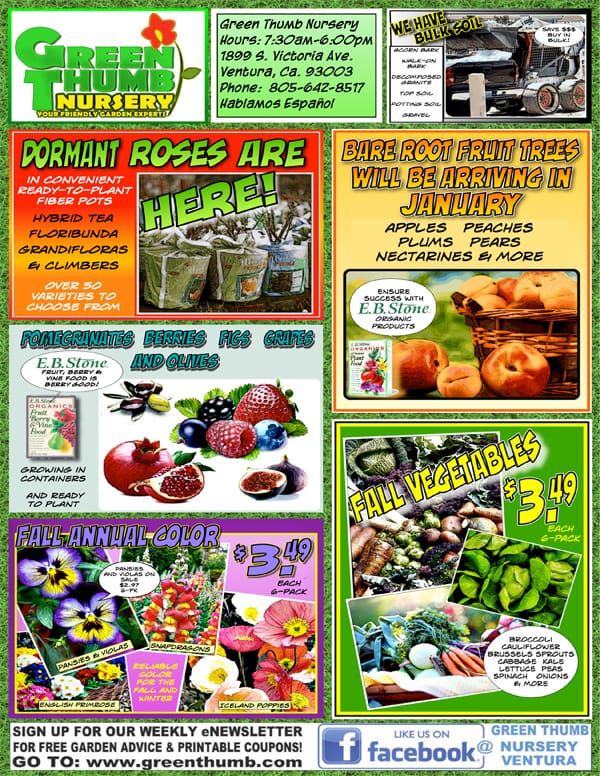 10319 Ad for Ventura Green Thumb Nursery