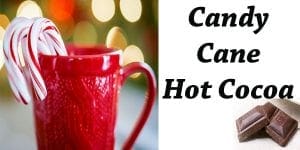 Candy cane hot cocoa at a garden center near me.