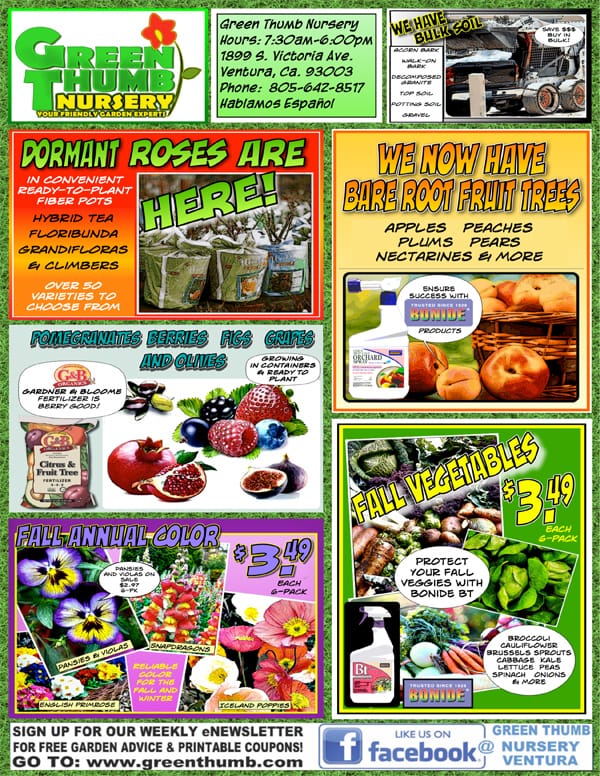 11719 Ad for Ventura Green Thumb Nursery