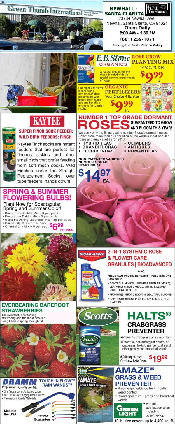 1 24 19 Ad For Newhall Santa Clarita Green Thumb Nursery