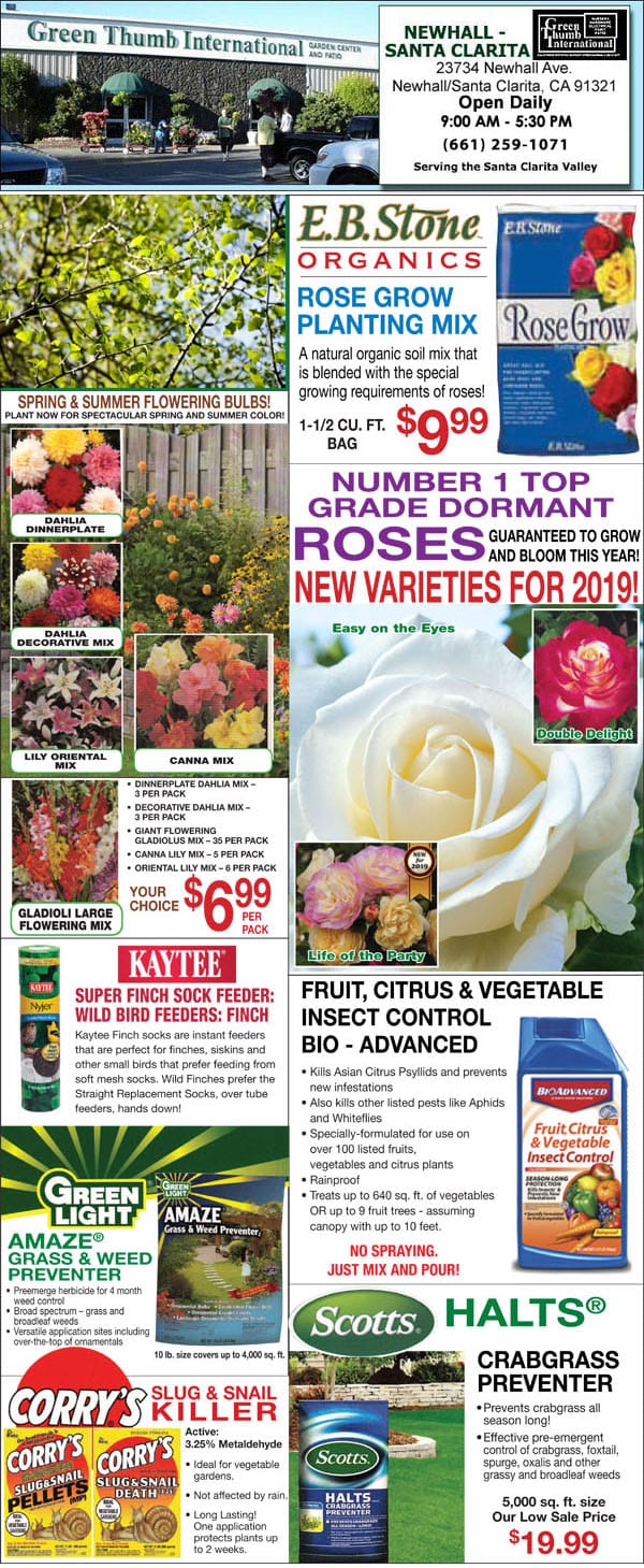 2 07 19 Ad For Newhall Santa Clarita Green Thumb Nursery