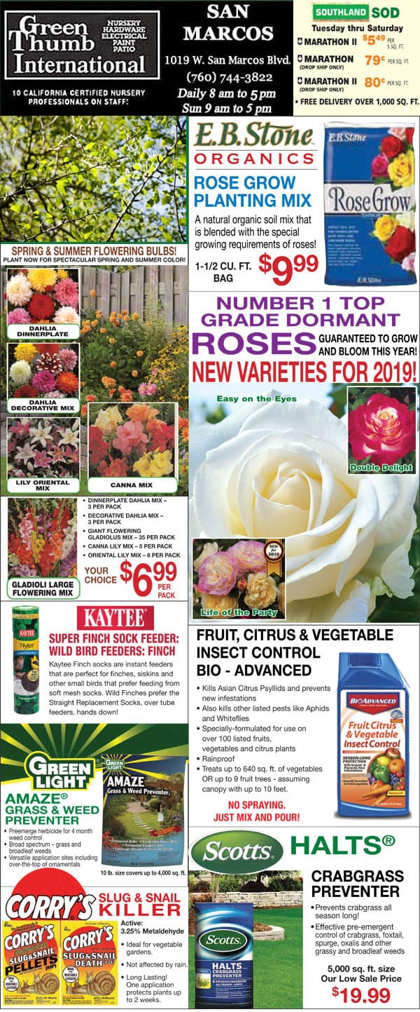 20719 Ad for San Marcos Green Thumb Nursery