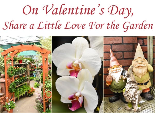 Visit a SoCal garden center near me to share a little love for the garden on Valentine's Day.