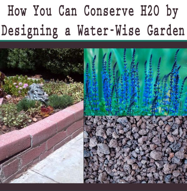 How you can conserve water by designing a water wise garden at a plant nursery near me.