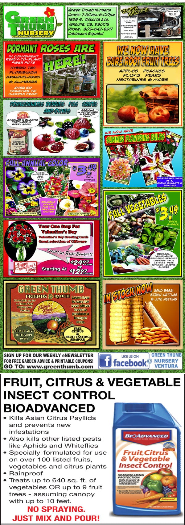 21419 Ad for Ventura Green Thumb Nursery