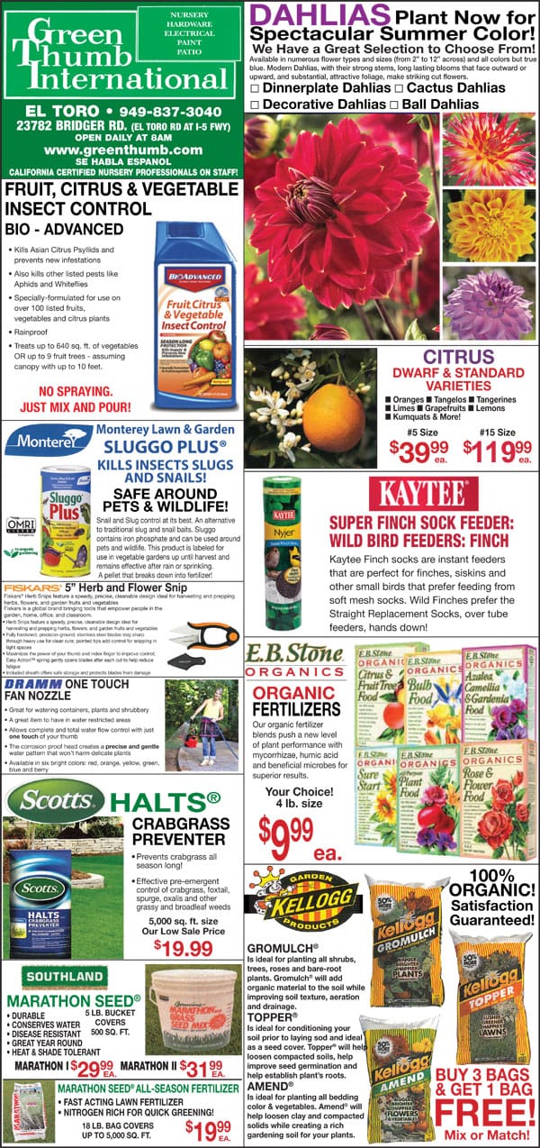22119 Ad for El Toro Lake Forest Green Thumb Nursery