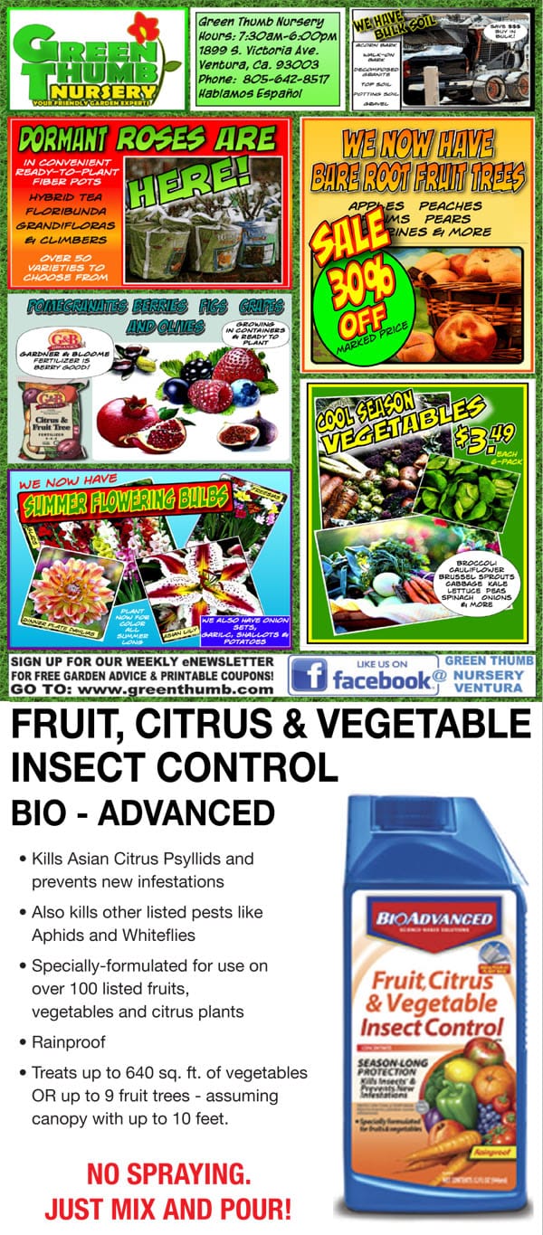 22119 Ad for Ventura Green Thumb Nursery