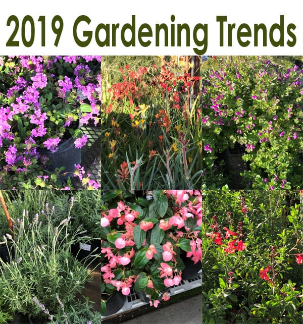 2019 Gardening Trends Green Thumb Nursery