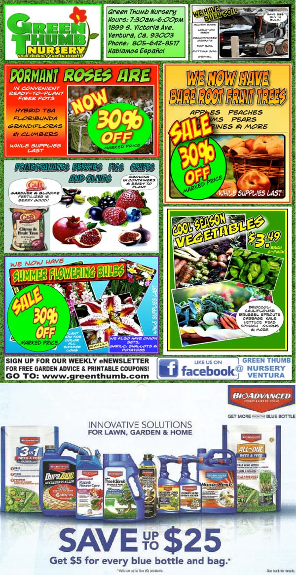 31419 Ad for Ventura Green Thumb Nursery