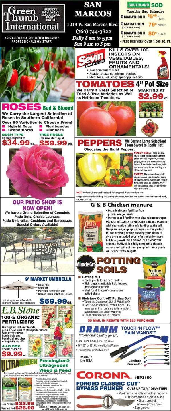 40419 Ad for San Marcos Green Thumb Nursery
