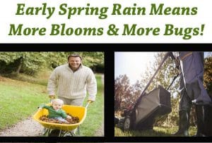 Find a SoCal garden center for all your spring planting needs.