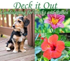 Southern California garden center specializing in deck and patio landscaping.