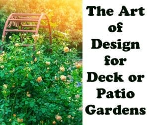 Deck or patio garden design by a Southern California plant nursery.