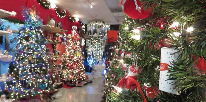 A row of Christmas trees at a plant nursery near me.