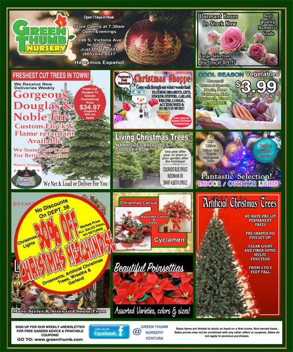 121919 Ad for Ventura Green Thumb Nursery