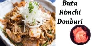 Buta kimchi donburi at a Southern California plant nursery.