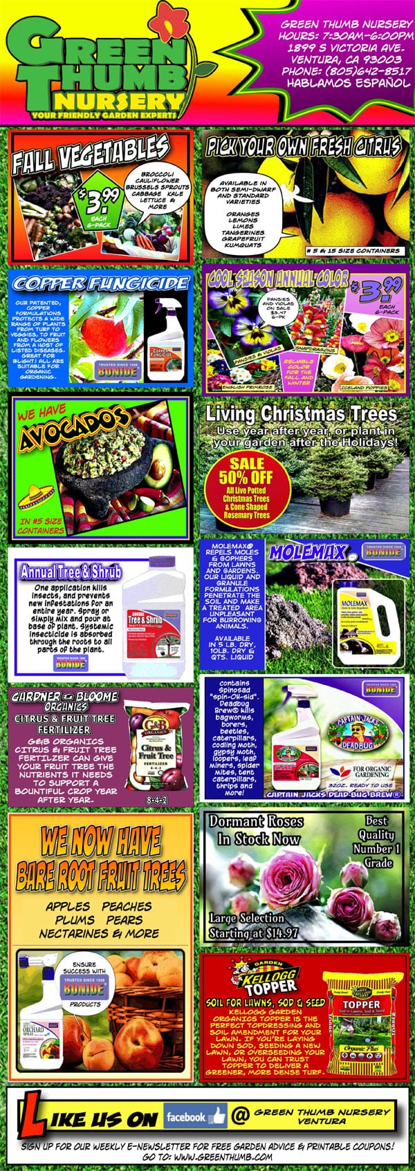 11620 Ad for Ventura Green Thumb Nursery