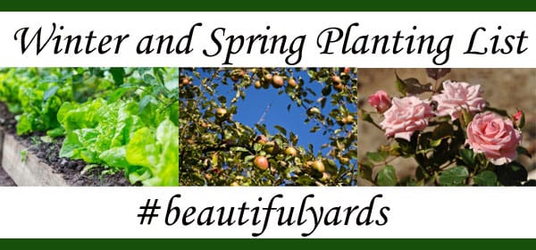 Winter and spring planting list for a plant nursery near me in Southern California.