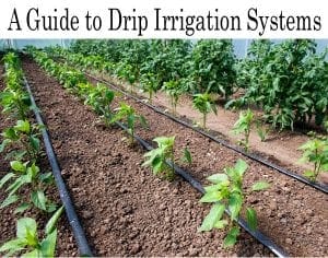 A guide to drip irrigation systems for a Southern California garden center.