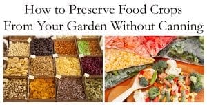 Guide to preserving garden crops without canning utilizing local plant nursery resources in Southern California.