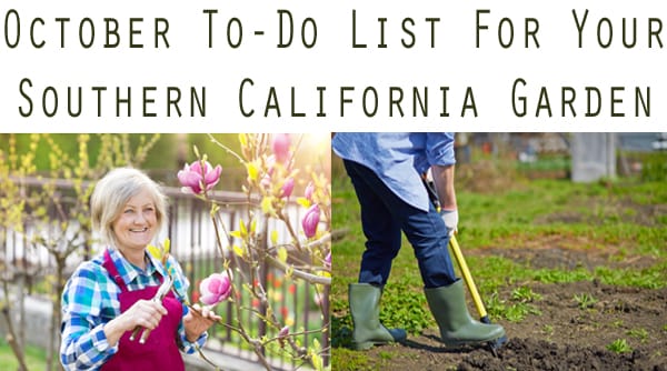 October garden to-do list for your Southern California garden center.