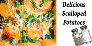 Delicious scalloped potatoes from the best garden center near me.