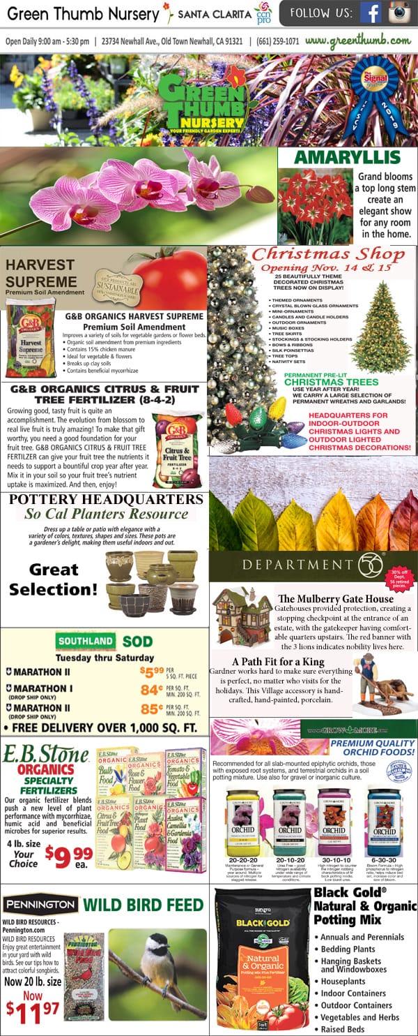110520 Ad for Newhall Santa Clarita Green Thumb Nursery