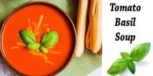 Tomato basil soup served in a bowl from a top-rated nursery near me.