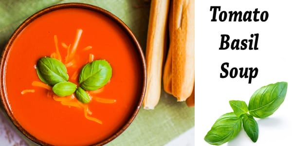 Tomato basil soup served in a bowl from a top-rated nursery near me.