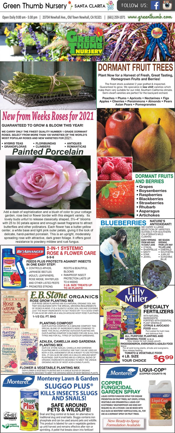 11421 Ad for Newhall Santa Clarita Green Thumb Nursery